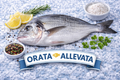 Orata allevata 200/300g
